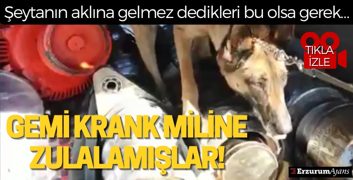 Alkışlar Erzurum polisine!