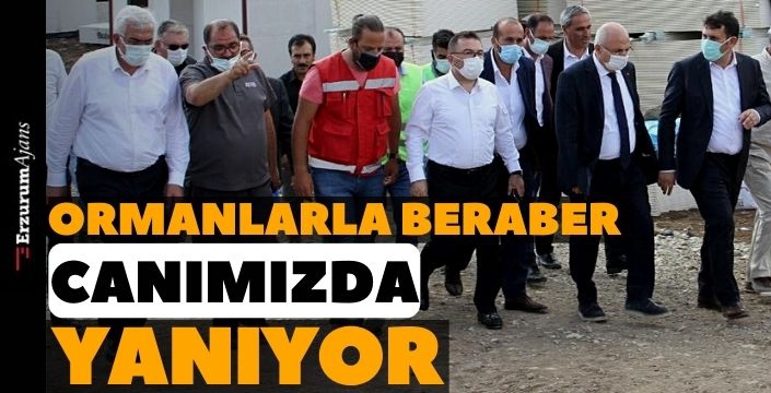 Altınok'un Çat ziyareti