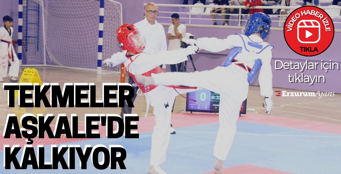 Aşkale'de Taekwondo Analig grup müsabakaları başladı