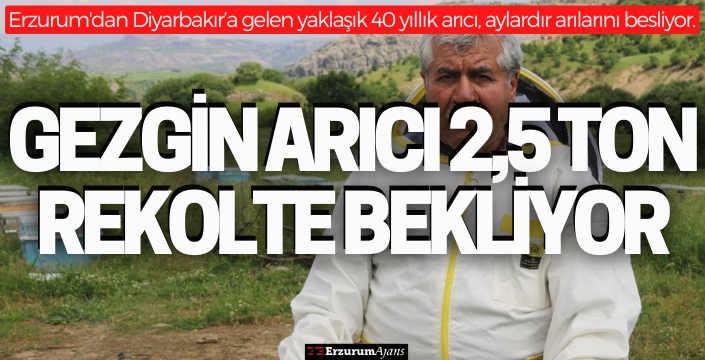 Aylardır Diyarbakır'da olan gezgin arıcı 2,5 ton rekolte bekliyor