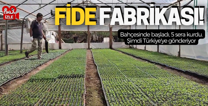 Bahçesinde 300 bin doğal fide üretip Türkiye'nin her yerine gönderiyor