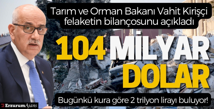 Bakan Kirişçi: Depremin bilançosu 104 milyar dolar
