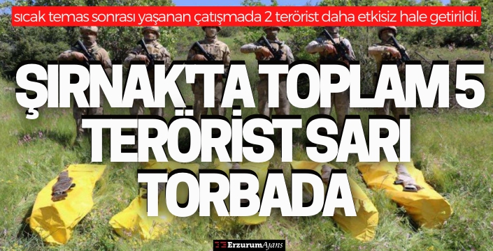 Bakan Soylu, Şırnak'ta etkisiz hale getirilen terörist sayısının 5'e yükseldiğini duyurdu