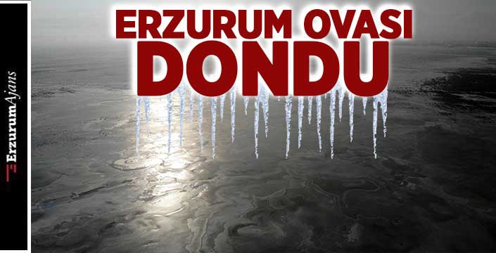 Buzla kaplandı 