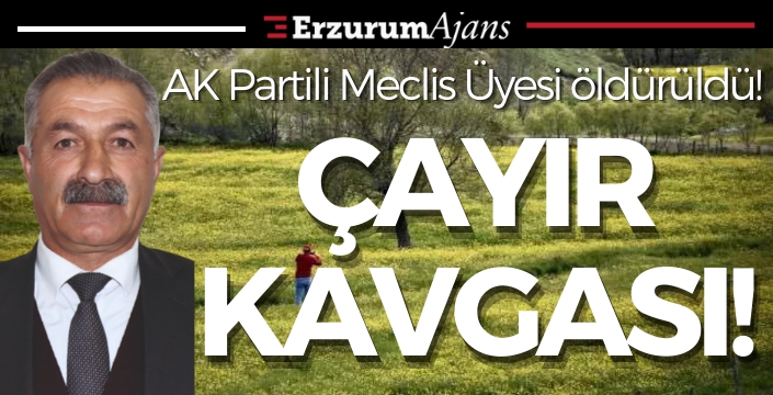 Çayır yüzünden kavga çıktı. AK Partili Meclis Üyesi öldürüldü