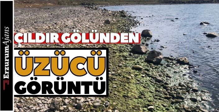 Çıldır Gölü'nü kuraklık vurdu!