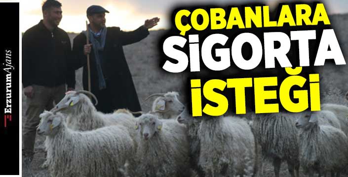 Çobanlara devlet sigortası