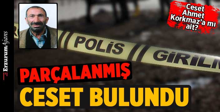 Dağlık arazide erkek cesedi bulundu 