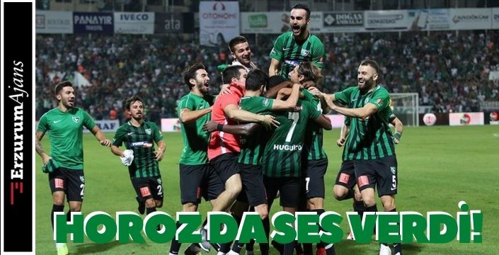 DENİZLİSPOR TFF'YE BAŞVURDU