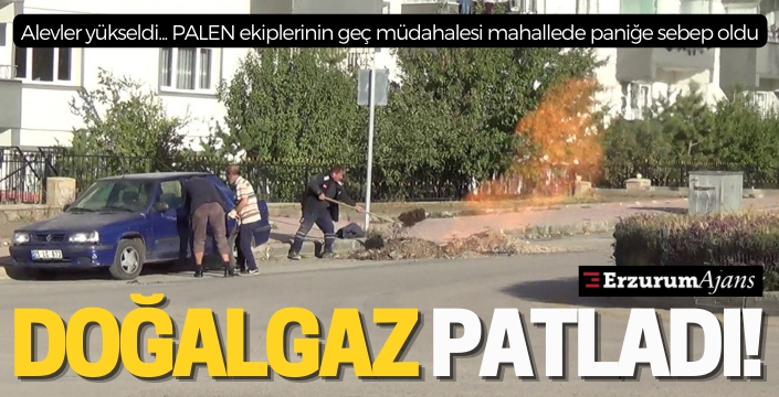 Doğalgaz alevlerine kürekle müdahale ettiler