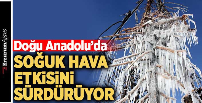 Doğu Anadolu donuyor!