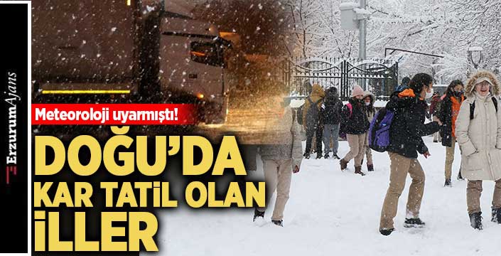 Doğu Anadolu'da kuvvetli kar yağışı