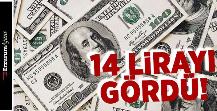 Dolar kuru 14 liranın üzerine çıktı