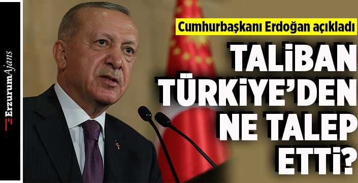 Erdoğan Taliban'ın yaptığı teklifi açıkladı