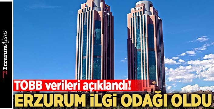 Erzurum'a yabancı sermaye ilgisi