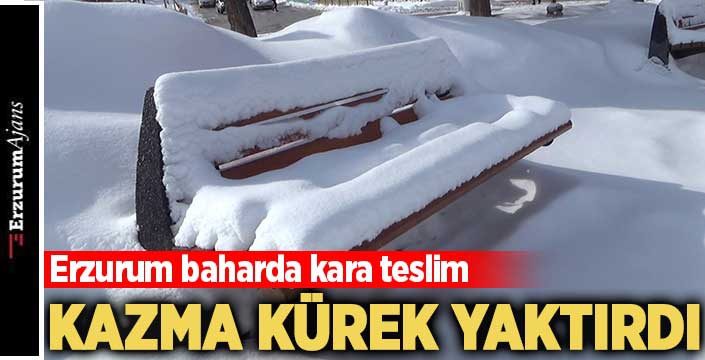 Erzurum baharı beklerken kışı yaşıyor
