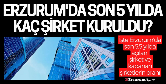 Erzurum'da 5 yılda bin 482 şirket kuruldu