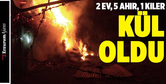 Erzurum'da alevler geceyi aydınlattı