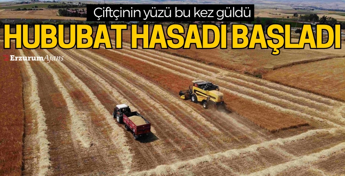 Erzurum'da hububat hasadı sürüyor