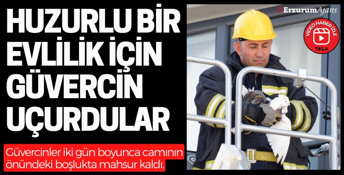 Erzurum'da itfaiyecilerin güvercin operasyonu