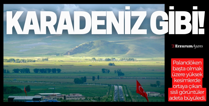 Erzurum'da Karadeniz'i aratmayan manzaralar