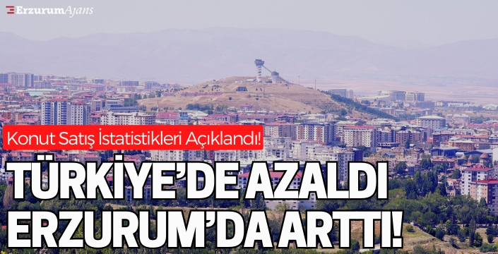 Erzurum'da konut satışları arttı