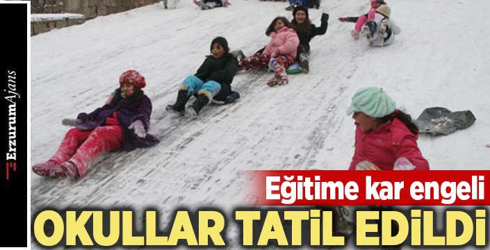 Erzurum'da okullara kar tatili 