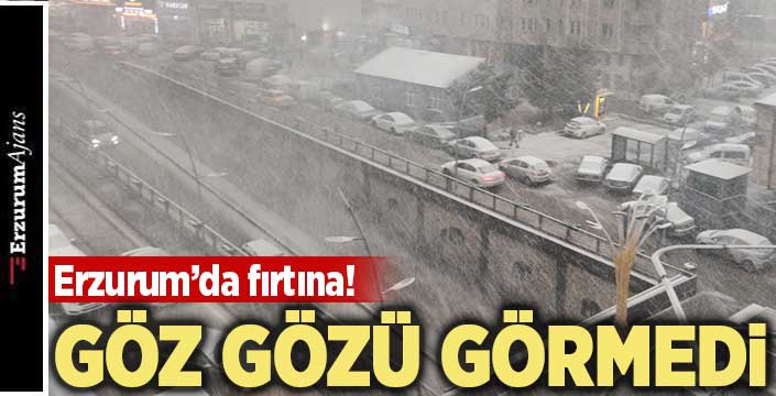Erzurum'da şiddetli kar fırtınası