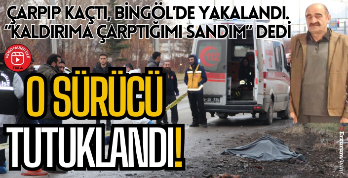 Erzurum'da yayaya çarpıp ölümüne neden TIR şoförü, Bingöl'de yakalandı