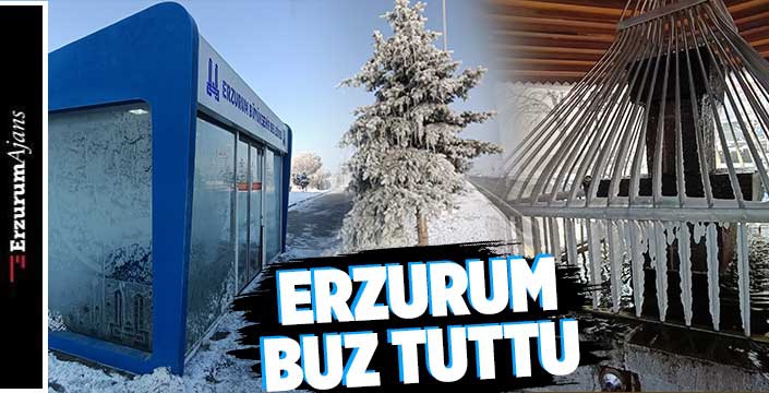 Erzurum eksi 17 dereceyi gördü