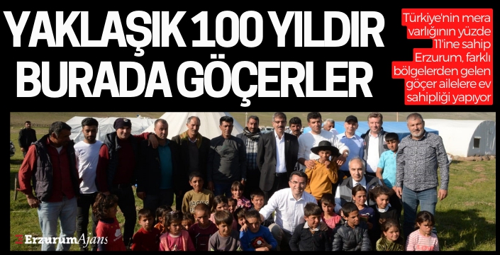 Erzurum'un meraları göçer aileleri ağırlıyor