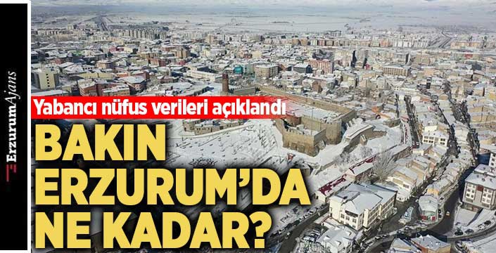 Erzurum yabancı nüfus verileri açıklandı