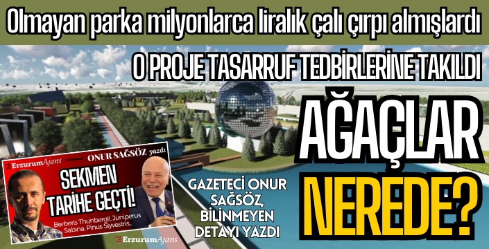 Gazeteci Onur Sağsöz, herkesin atladığı detayı yazdı!