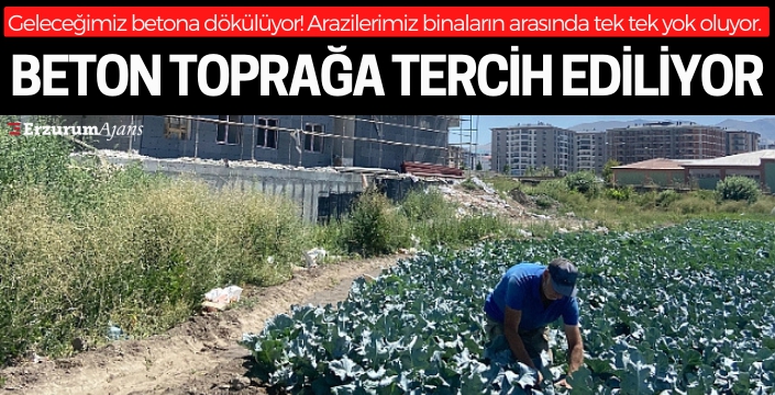 Geleceğimiz betona gömülüyor! Bostana ektim bina!