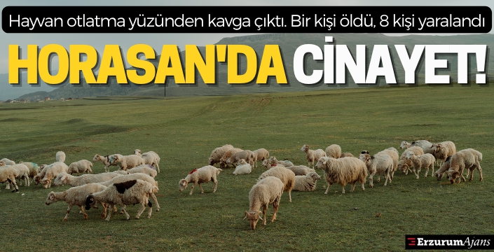 Horasan'da çıkan silahlı kavgada bir kişi öldü, 8 kişi yaralandı