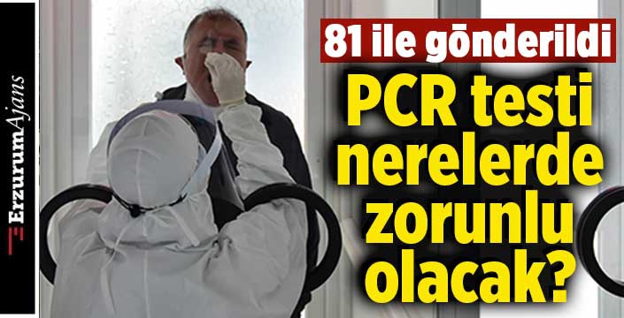 İçişleri Bakanlığı'ndan PCR genelgesi