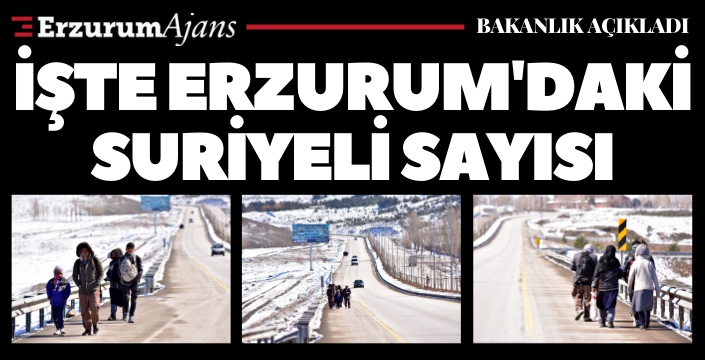 İçişleri Bakanlığı Suriyelilerle ilgili resmi sayıyı açıkladı