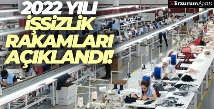 İşsizlik oranı 2022 yılında yüzde 10,4 oldu