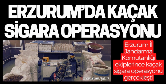 Jandarmadan kaçak sigara operasyonu