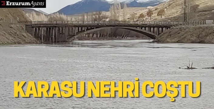 Karasu Nehri Coştu