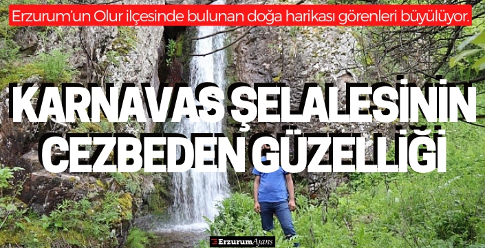 Karnavas şelalesi büyülüyor