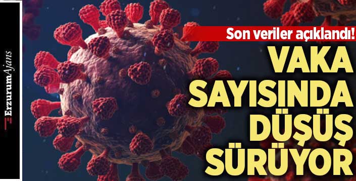 Koronavirüste son durum!