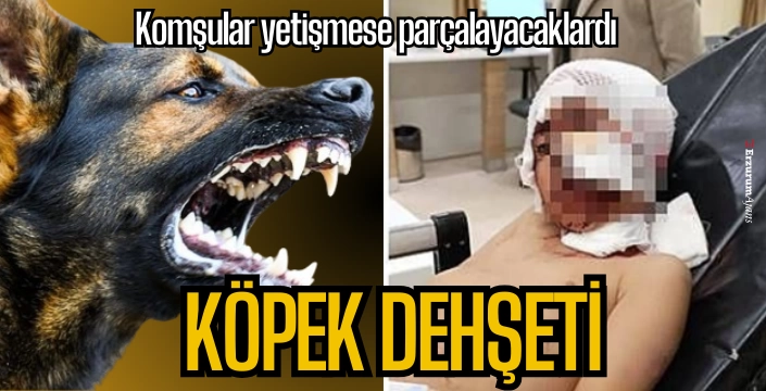 Küçük çocuk ağır yaralandı