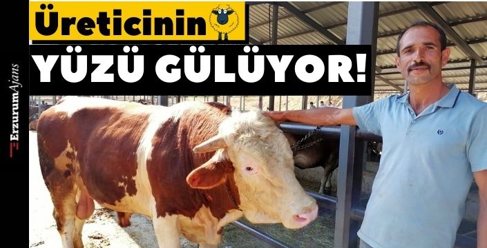 Kurban pazarlarında hareketlilik