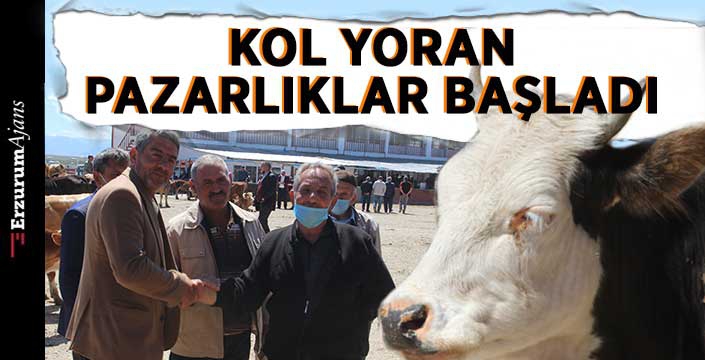 Kurbanlıklar görücüye çıktı