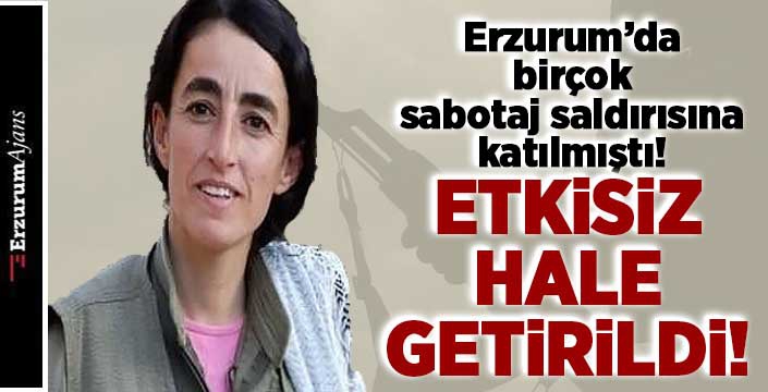 Mardin'de etkisiz hale getirildi