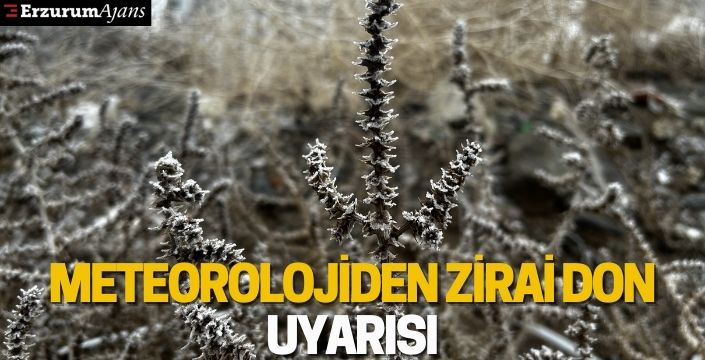 Meteorolojiden zirai don uyarısı