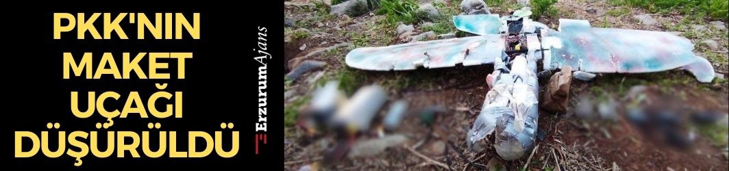 PKK'lıların maket uçağı düşürüldü