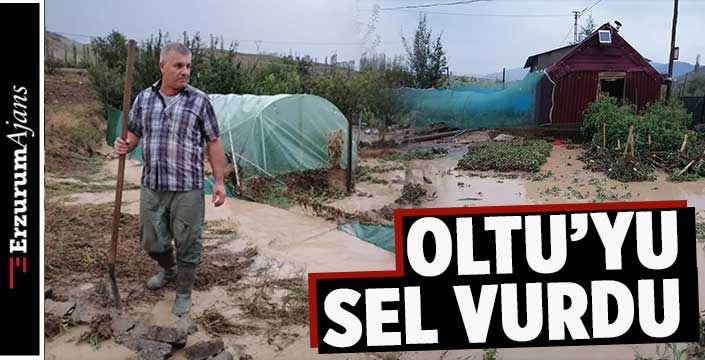 Sel seralara zarar verdi, kümes hayvanları telef oldu