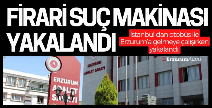 Suç makinesi Erzurum'da yakalandı